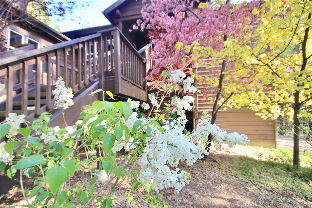 523 Dogwood Canyon Road Property Photo 26