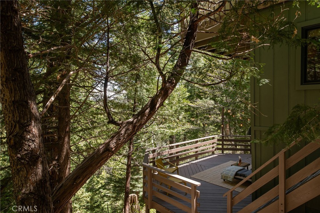 26486 Forest Lane Property Photo 20