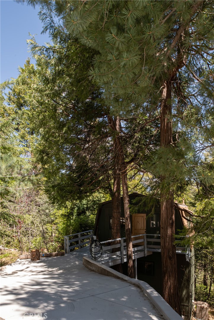 26486 Forest Lane Property Photo 23