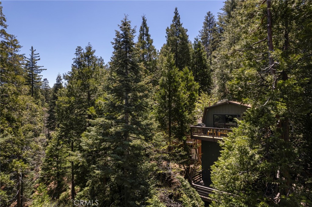 26486 Forest Lane Property Photo 24