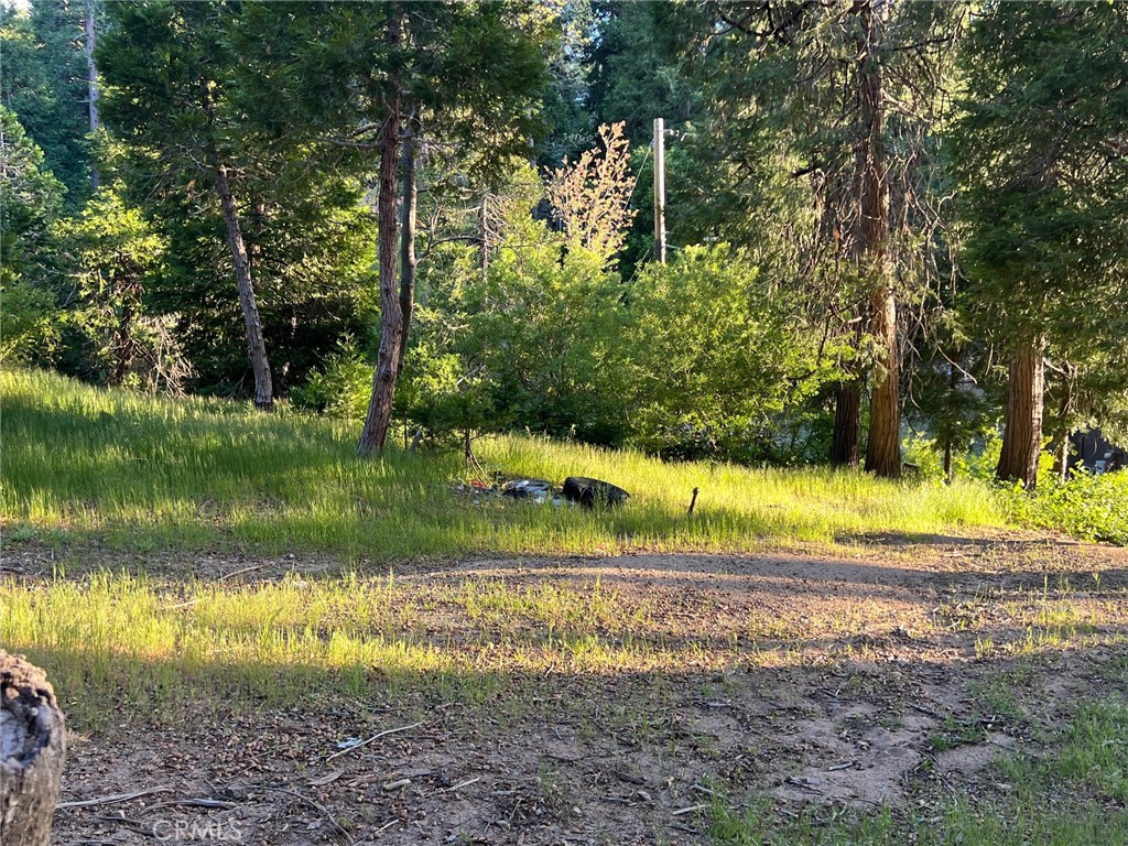 29038 Terrace Property Photo 3