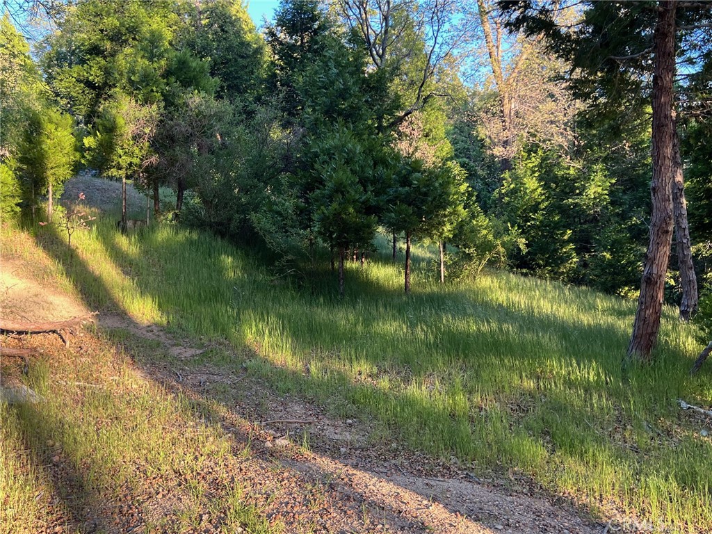 29038 Terrace Property Photo 4