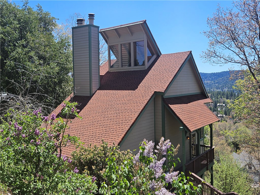 1033 Nadelhorn Drive Property Photo 1