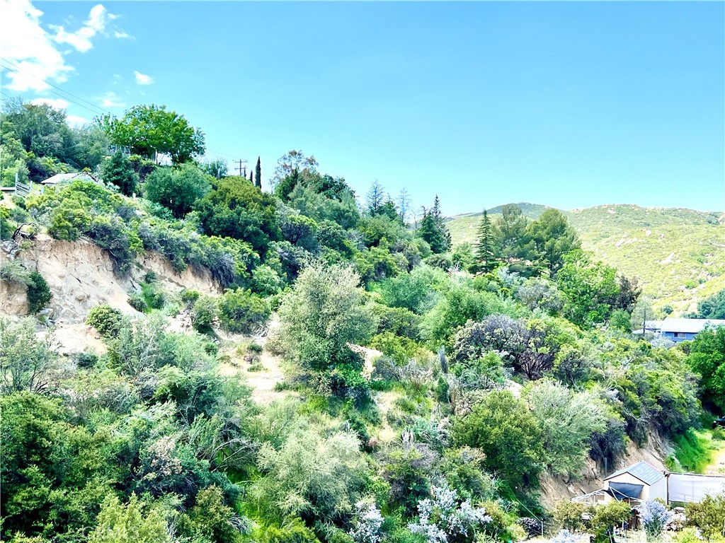 45902 Lynx Street Property Photo 11