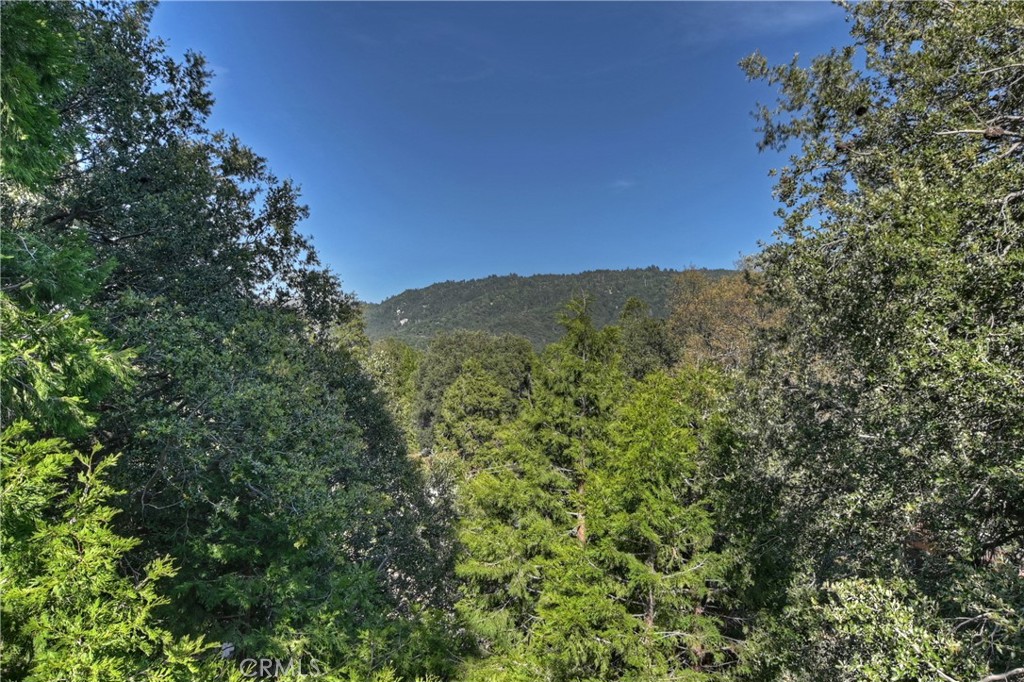 197 Weisshorn Drive Property Photo 18