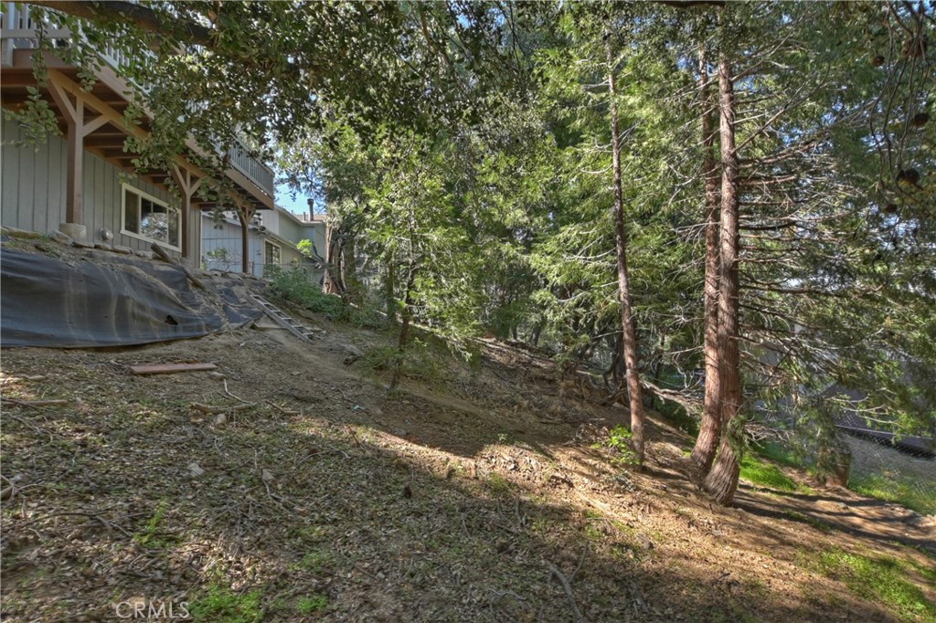 197 Weisshorn Drive Property Photo 44