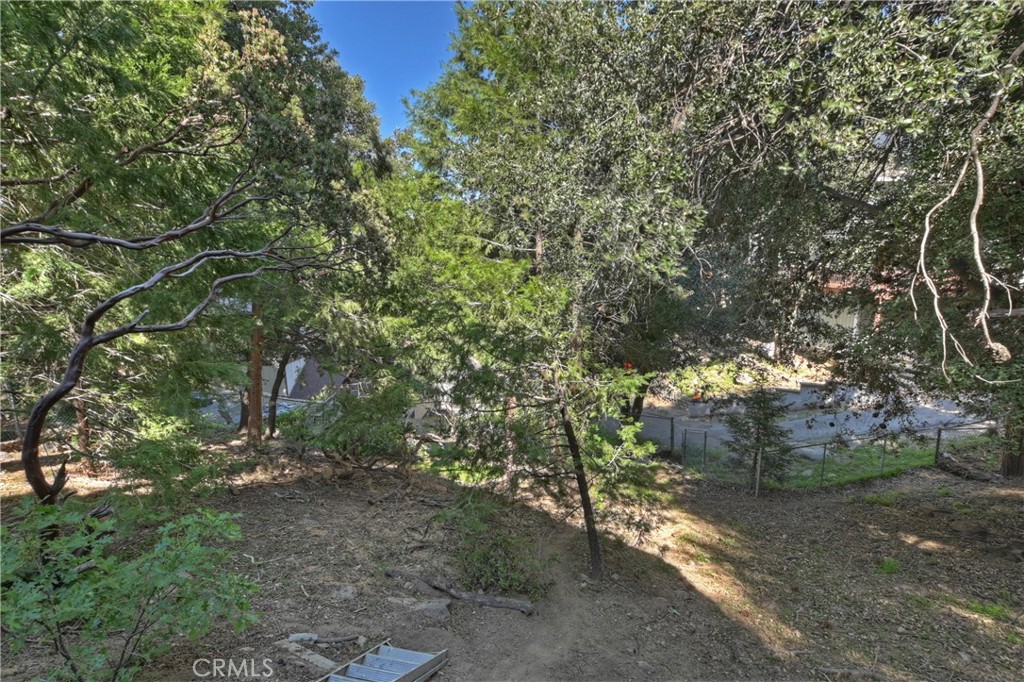 197 Weisshorn Drive Property Photo 45