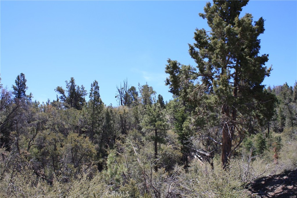 615 Kean Way Property Photo 12