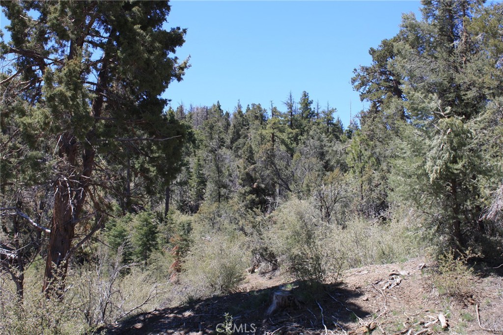 615 Kean Way Property Photo 13