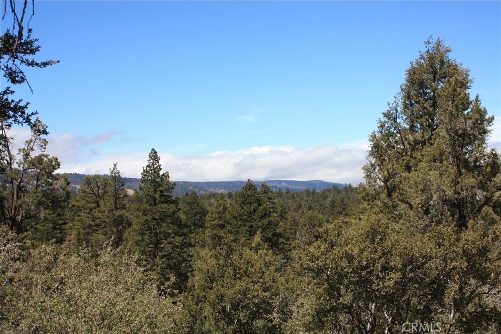 615 Kean Way Property Photo 29