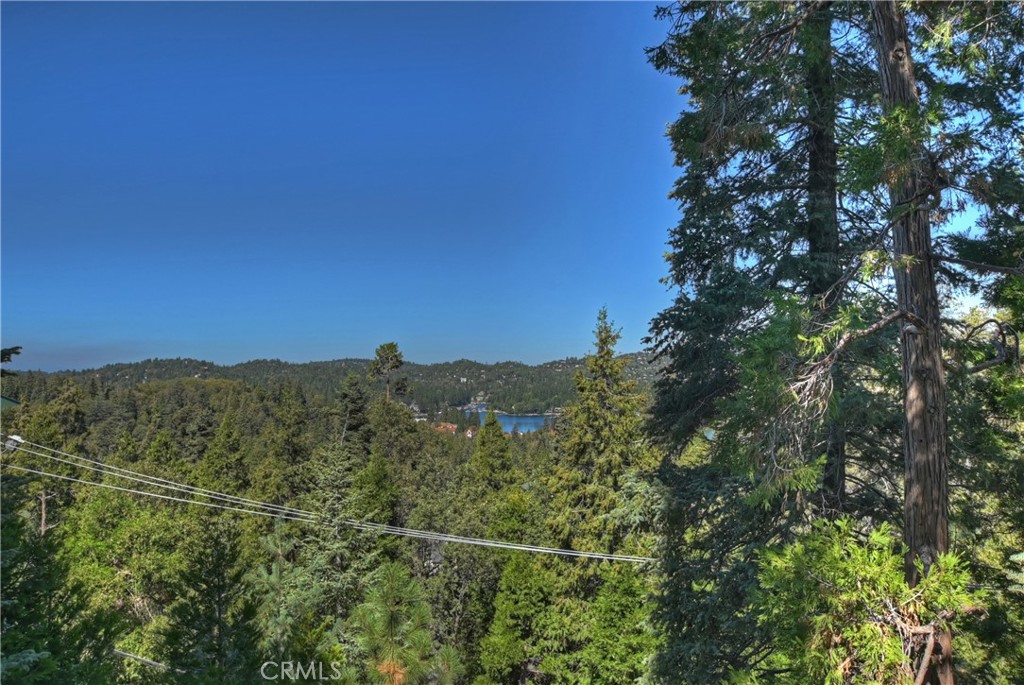 28545 Wabash Drive Property Photo 25