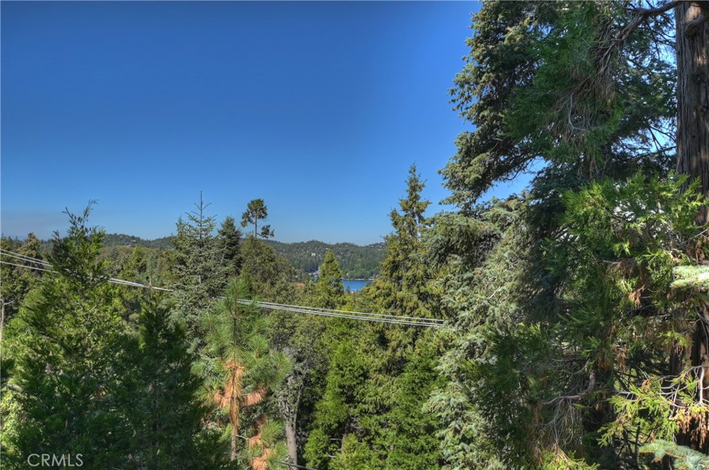 28545 Wabash Drive Property Photo 35