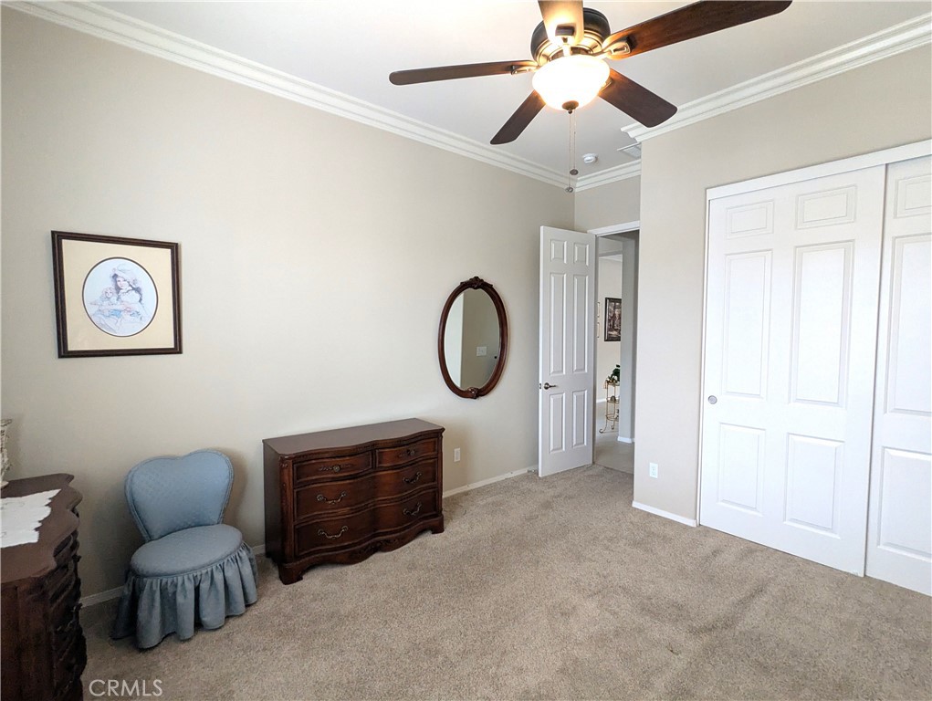 1582 Timberline Property Photo 21