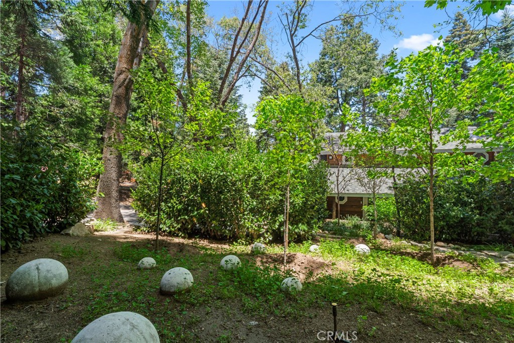 609 Millburn Road Property Photo 53