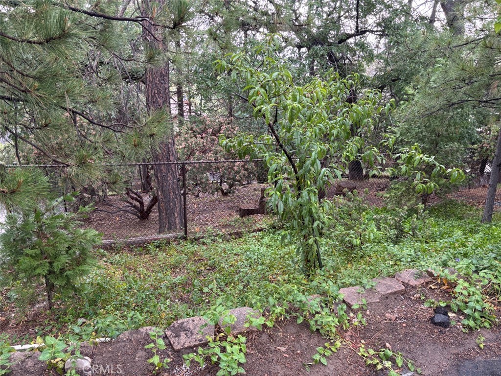 0 Aleutian Drive Property Photo