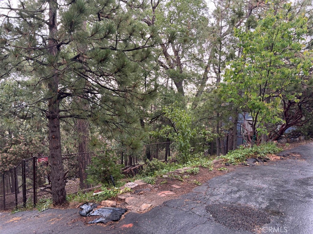 0 Aleutian Drive Property Photo 2
