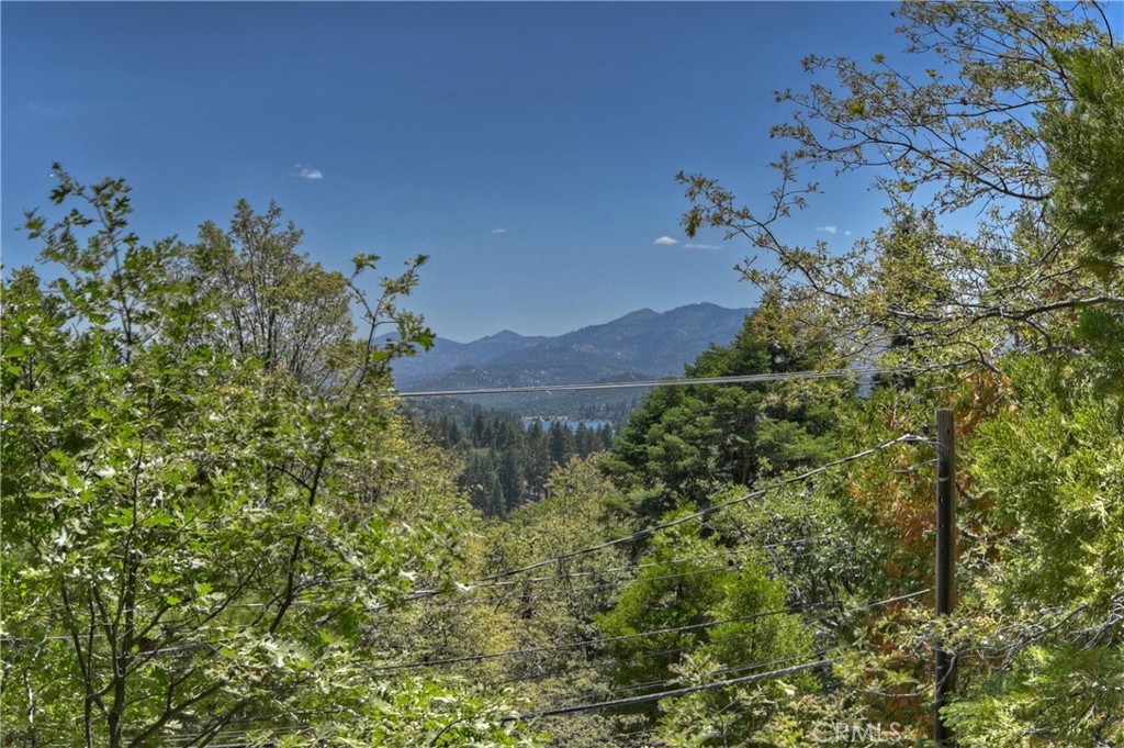 544 Old Toll Road Property Photo 9