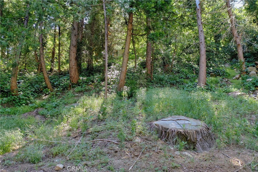 785 Fern Drive Property Photo 9