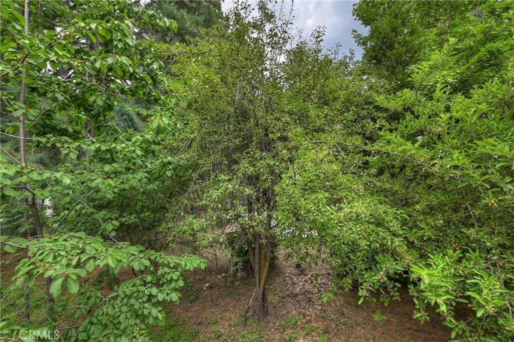 30997 Wild Oak Drive Property Photo 15