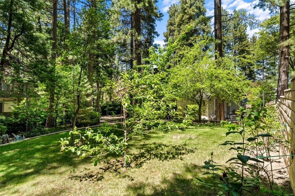 27833 Hamiltair Drive Property Photo 57