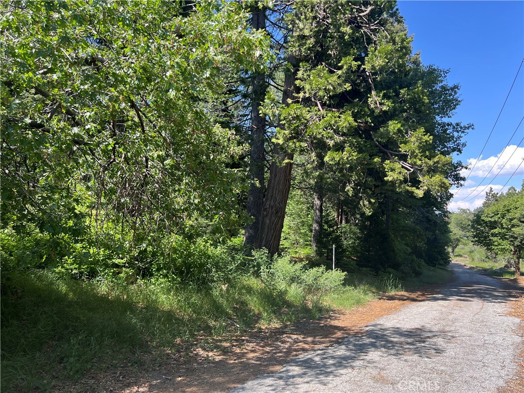 28879 Sycamore Drive Property Photo 17