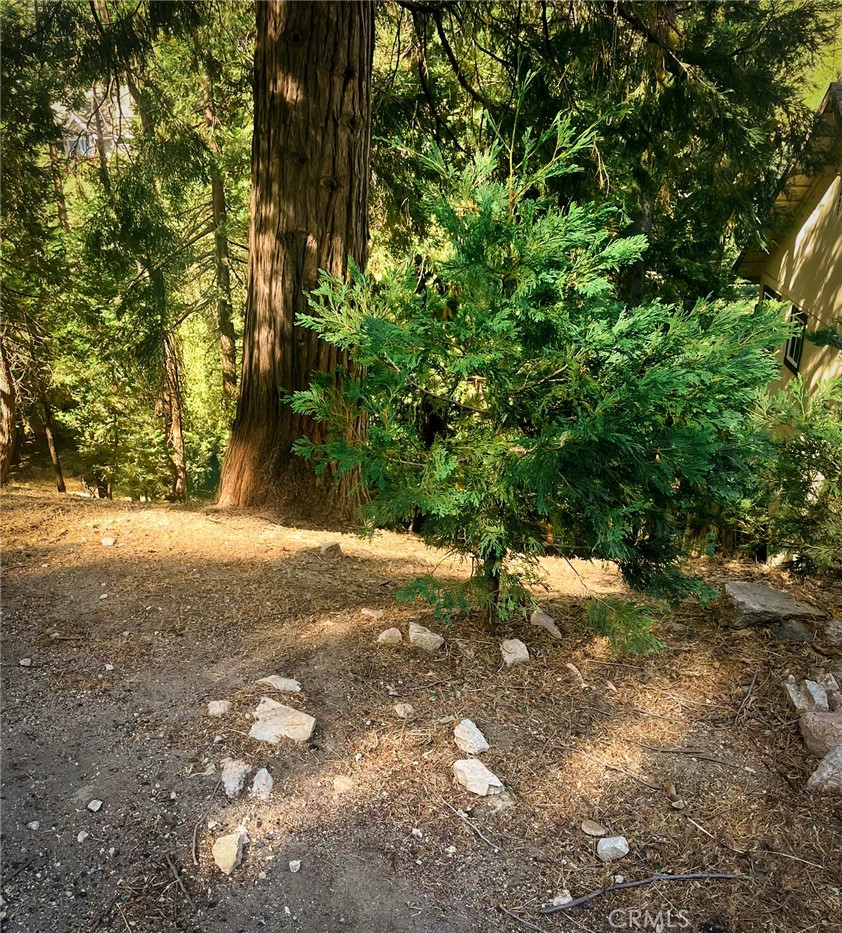 1274 Evergreen Lane Property Photo 2