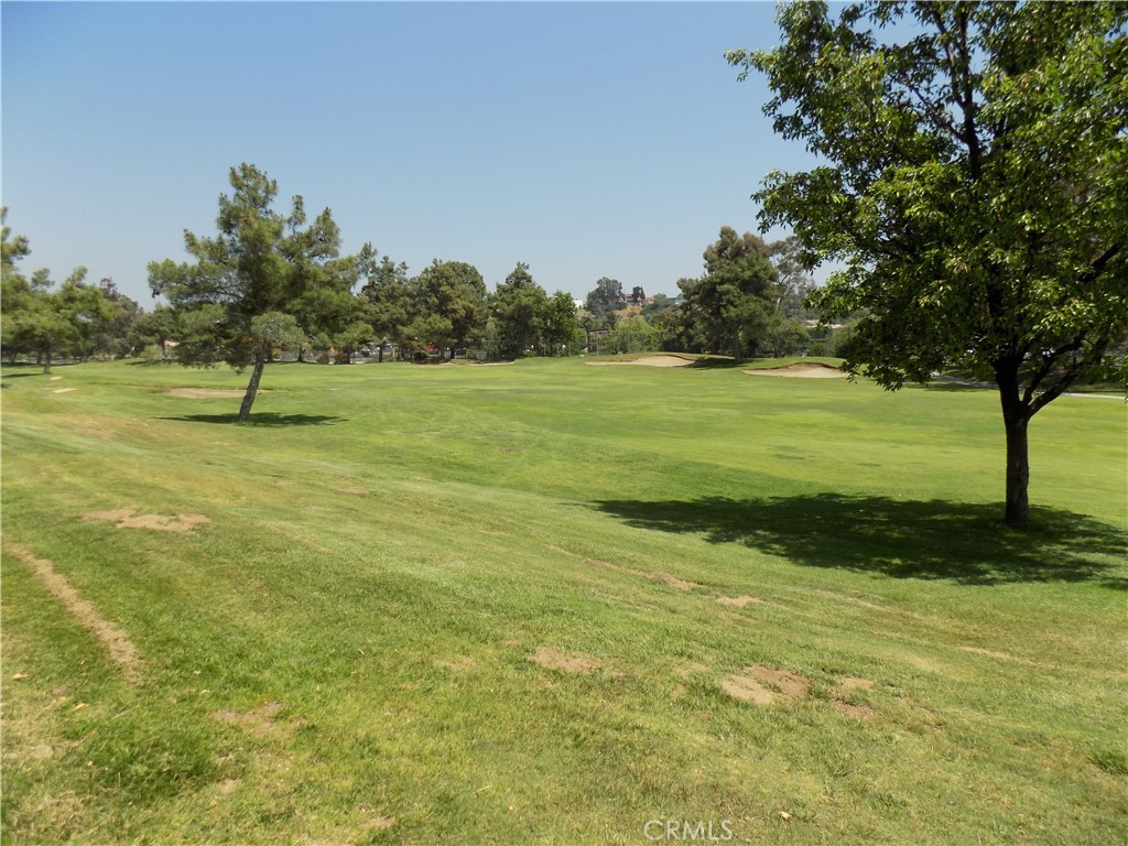 33349 Wallace Way Property Photo 23