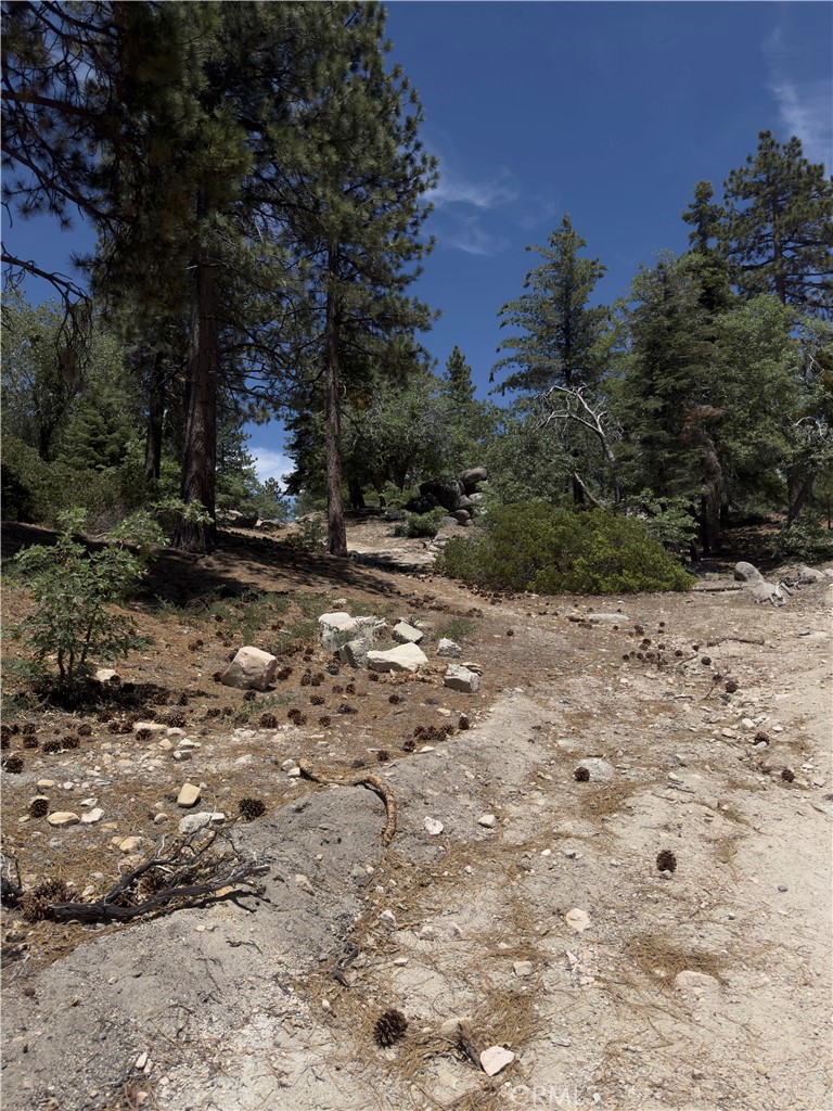 2526 Ridge Road Property Photo 1