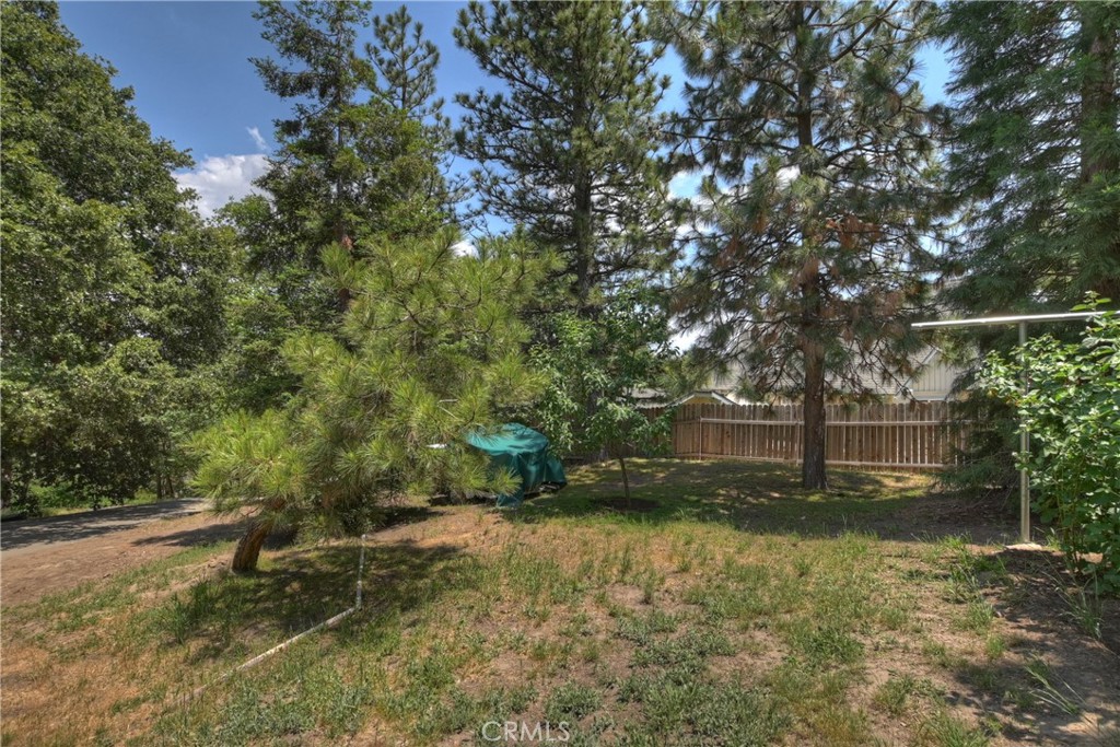 27781 St Bernard Lane Property Photo 34