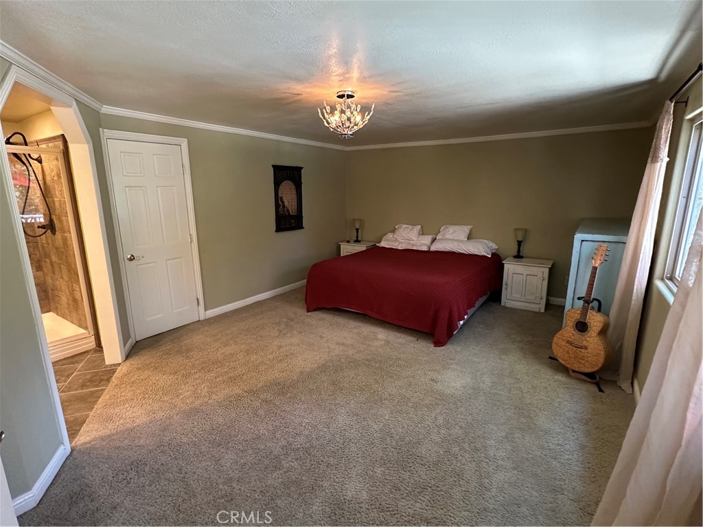 41379 Rainbow Lane Property Photo 23