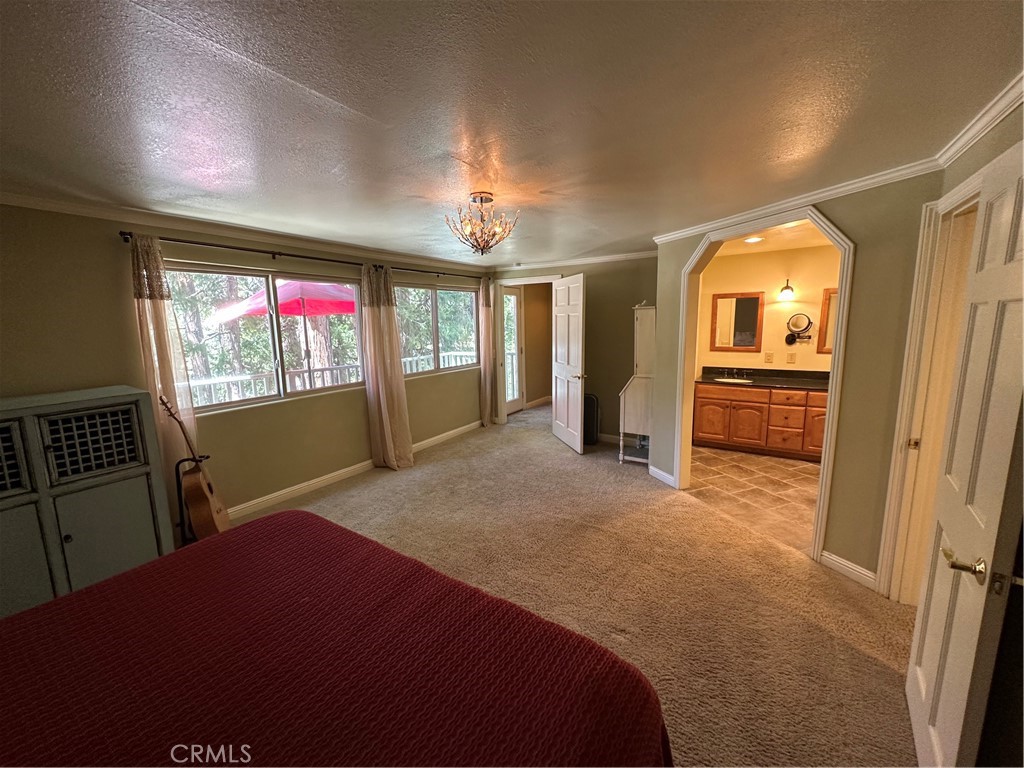 41379 Rainbow Lane Property Photo 24