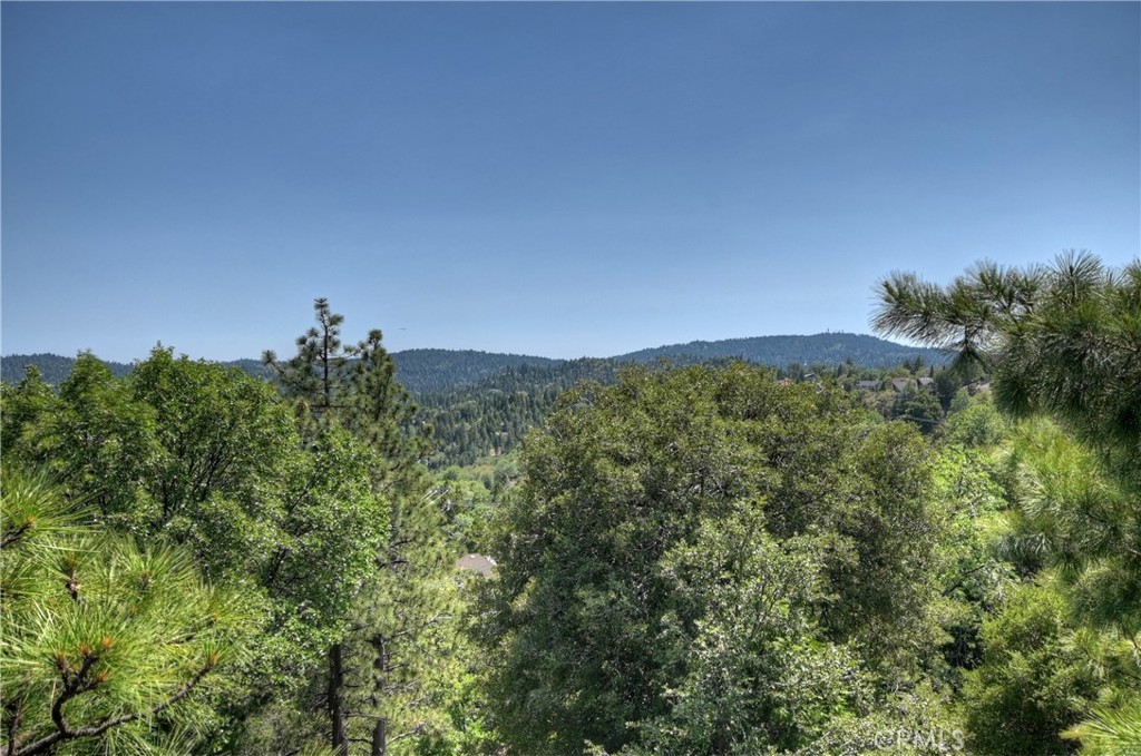 27581 St Bernard Property Photo 32