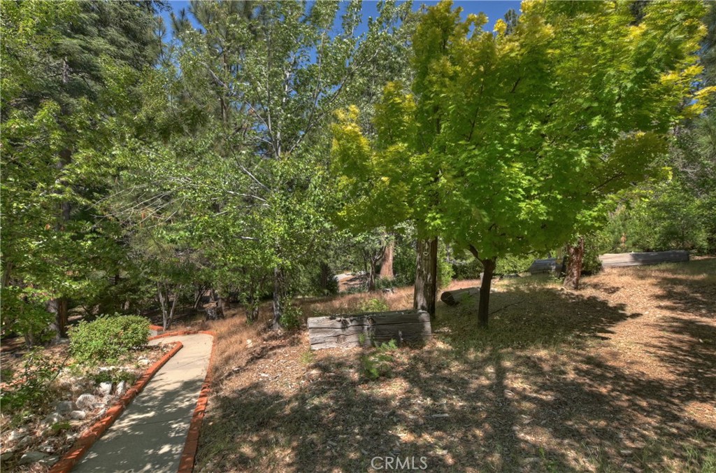 29729 Katherine Way Property Photo 31