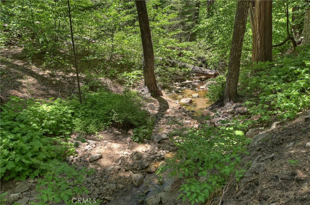 425 Blue Jay Canyon Road Property Photo 40