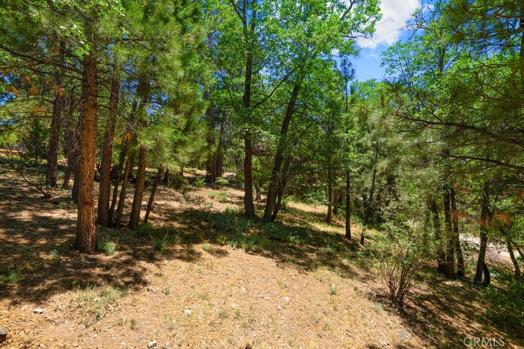 455 Sun Crest Court Property Photo 22