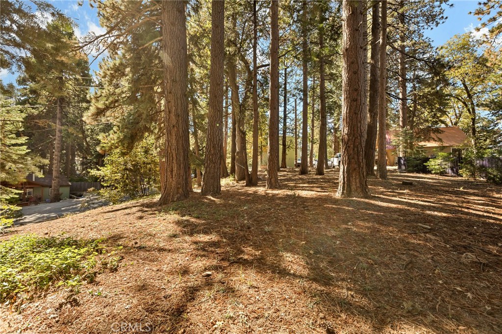 0 Valley View Drive Property Photo 7