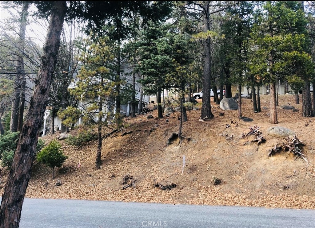 27315 Pinewood Drive Property Photo 1