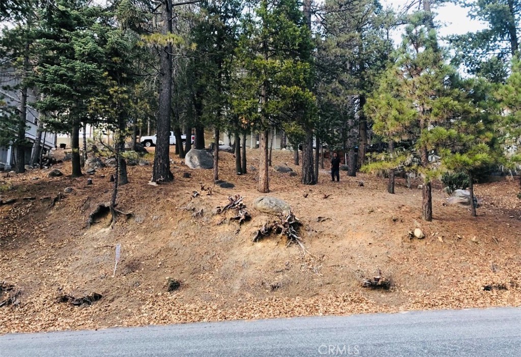 27315 Pinewood Drive Property Photo 2