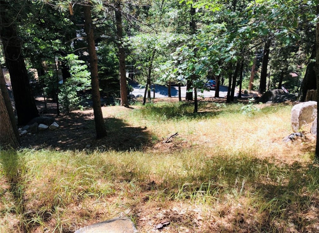 27315 Pinewood Drive Property Photo 3