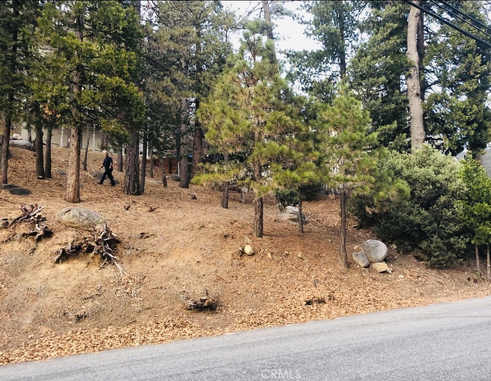 27315 Pinewood Drive Property Photo 4