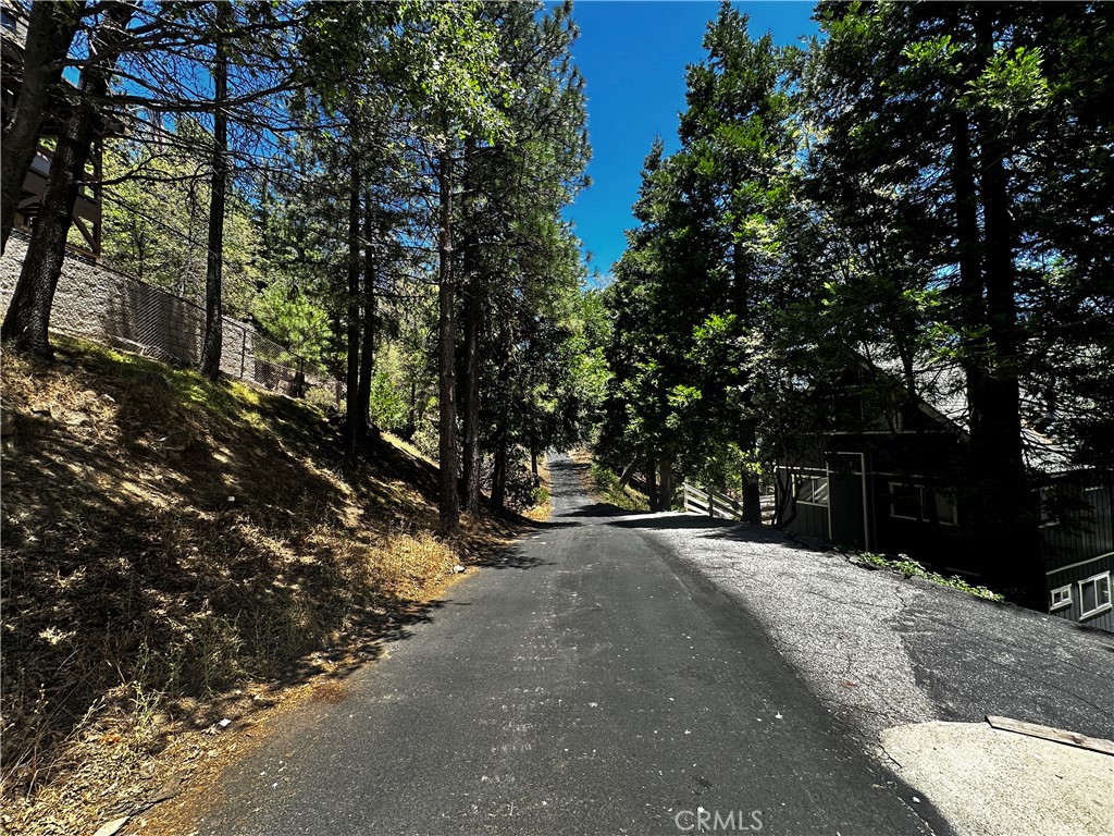 27315 Pinewood Drive Property Photo 6