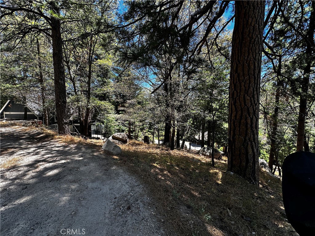 27315 Pinewood Drive Property Photo 8
