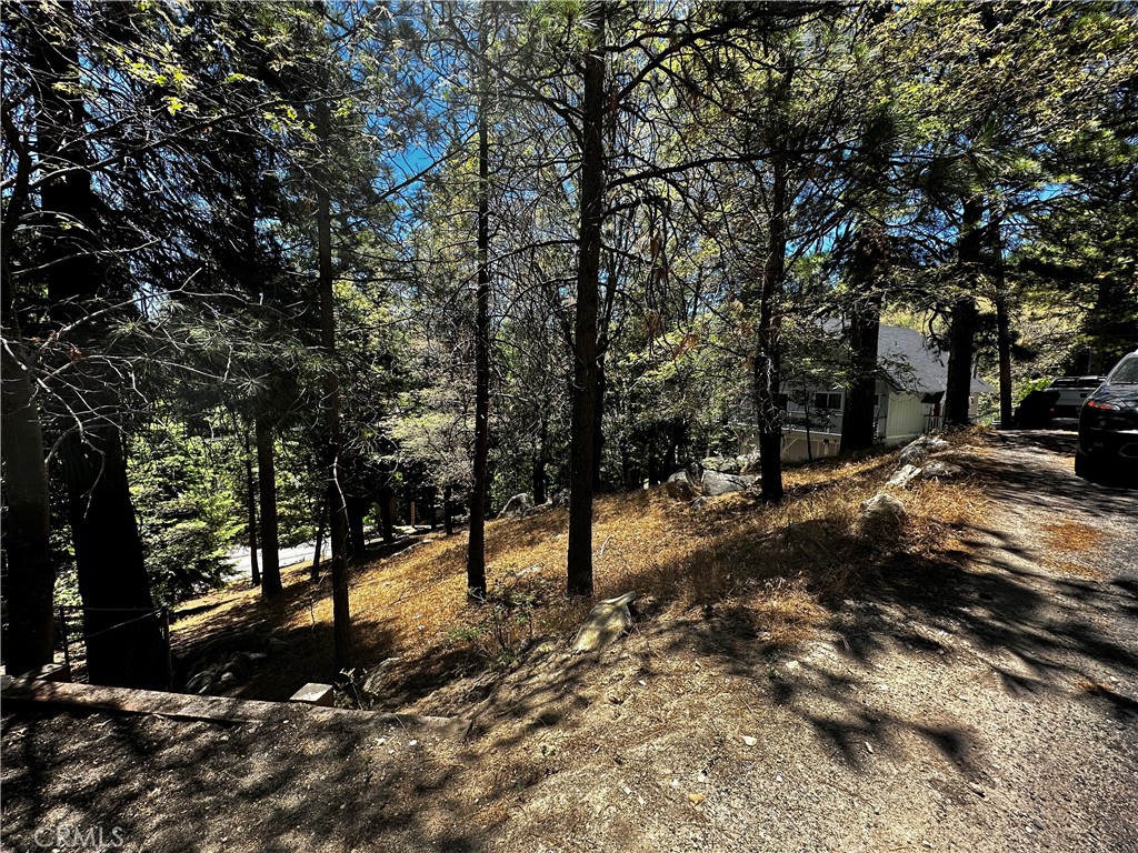 27315 Pinewood Drive Property Photo 9