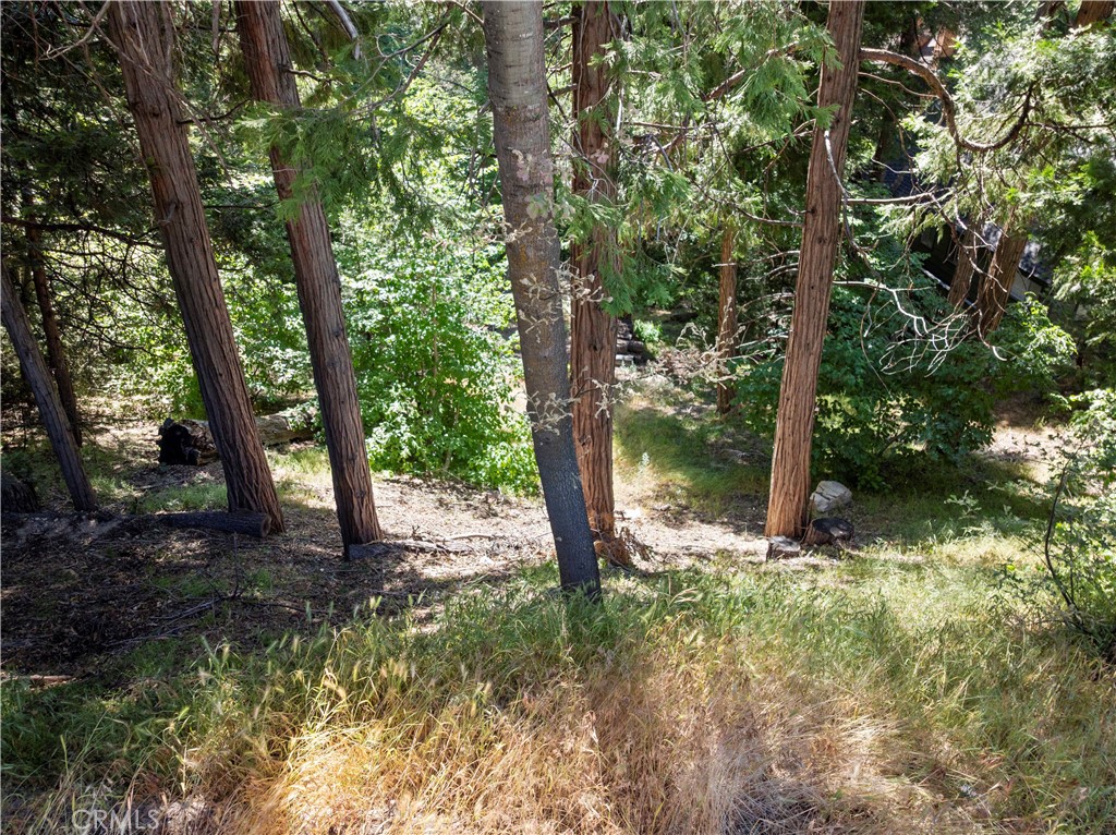 356 Ca-173 Property Photo 1