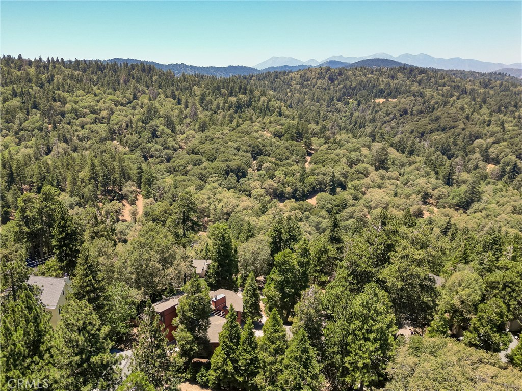 161 Pine Ridge Road Property Photo 37