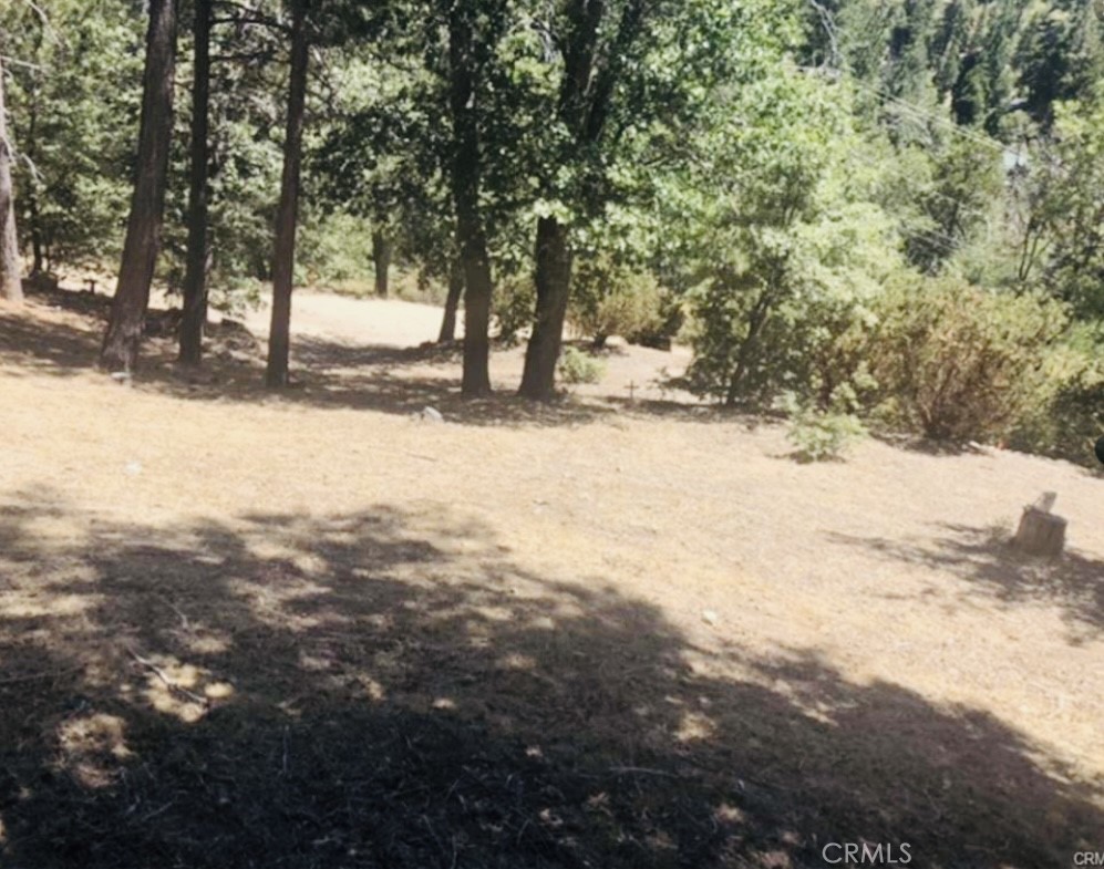 508 Redwood Road Property Photo 5