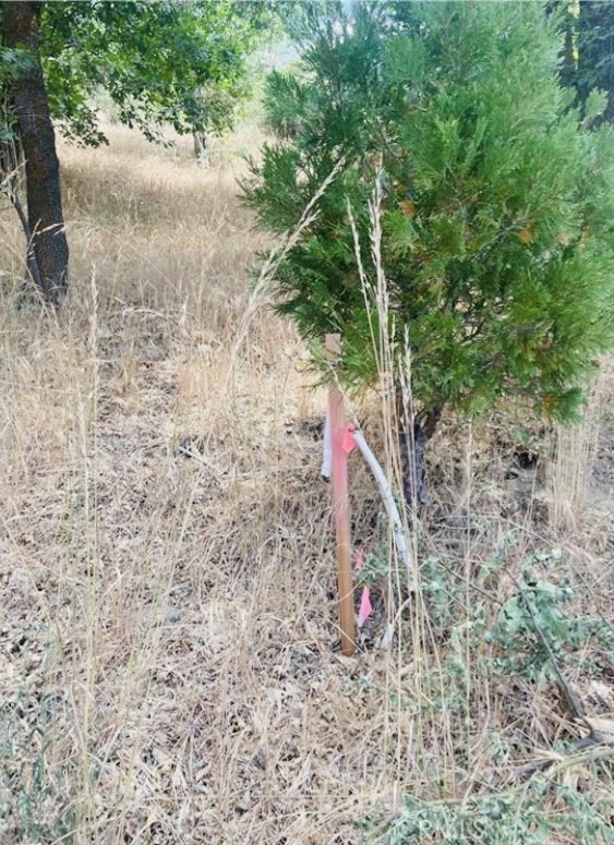 508 Redwood Road Property Photo 11
