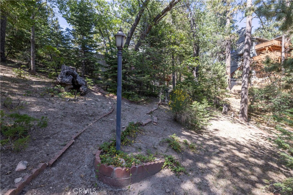 32825 Deer Lick Drive Property Photo 19