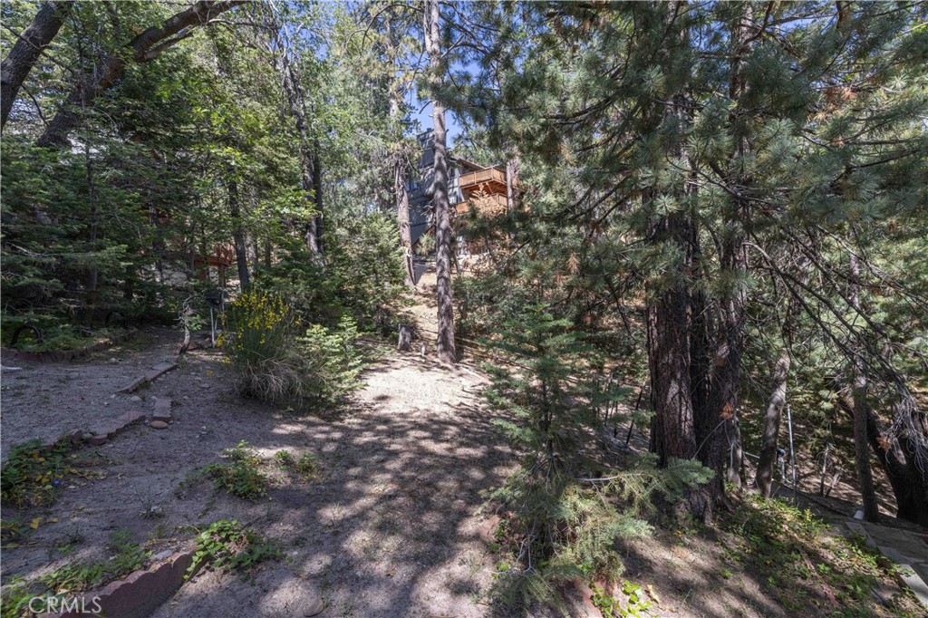 32825 Deer Lick Drive Property Photo 20