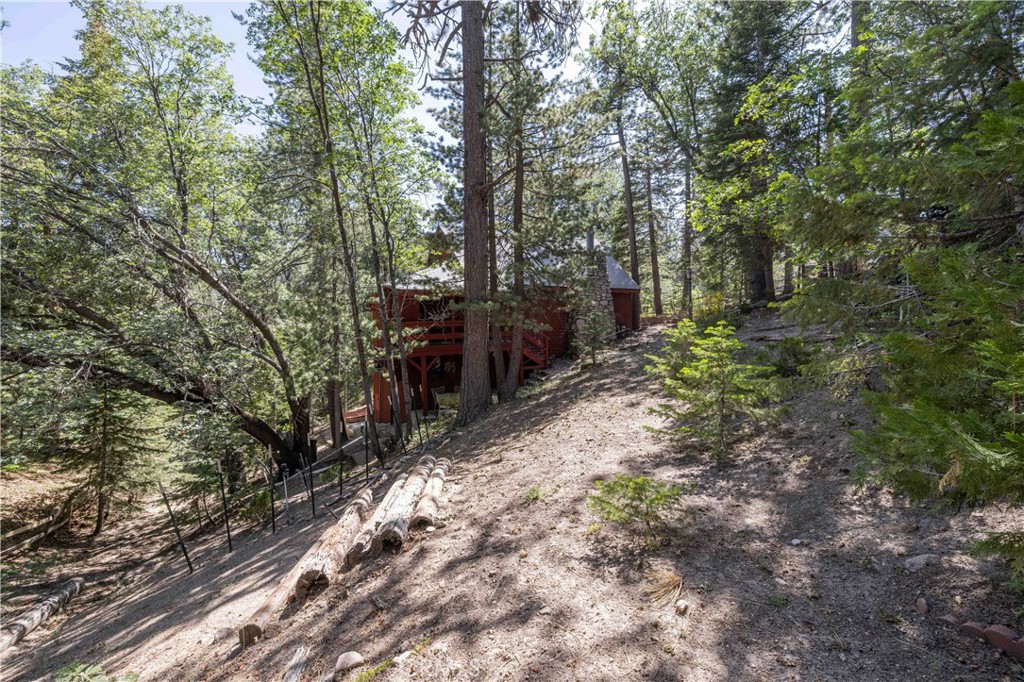 32825 Deer Lick Drive Property Photo 21